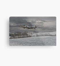 Messerschmitt Bf 109 G - 'Gustavs' Metal Print
