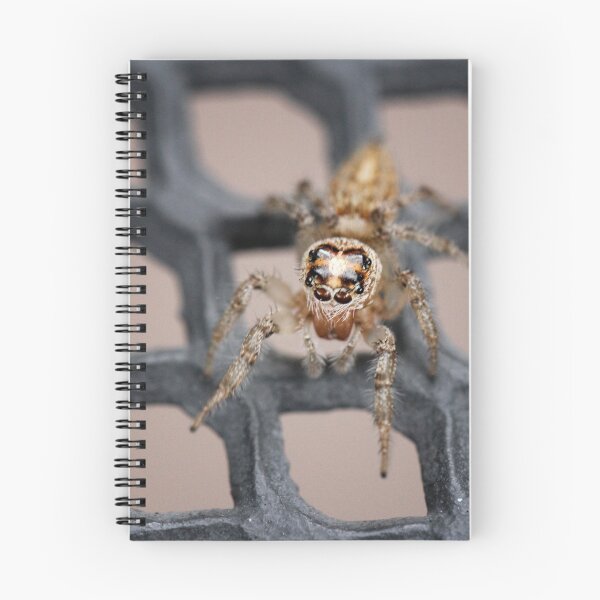 Item preview, Little spider designed and sold by Lynn Starner.
