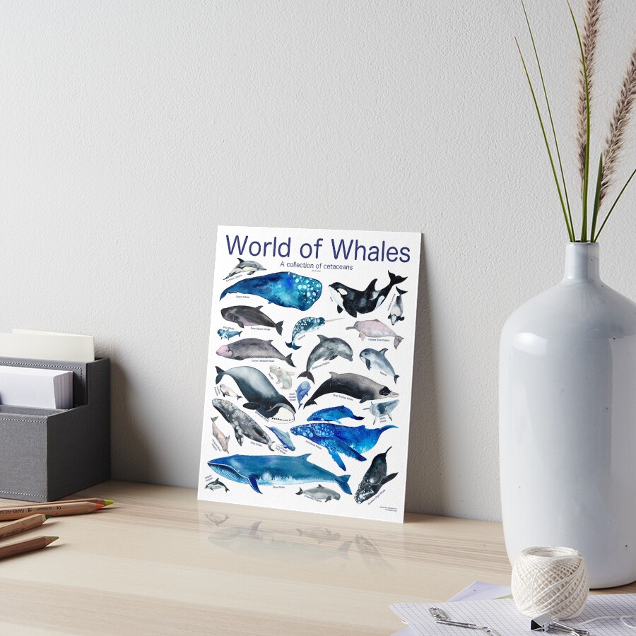 World of Whales Art Board Print