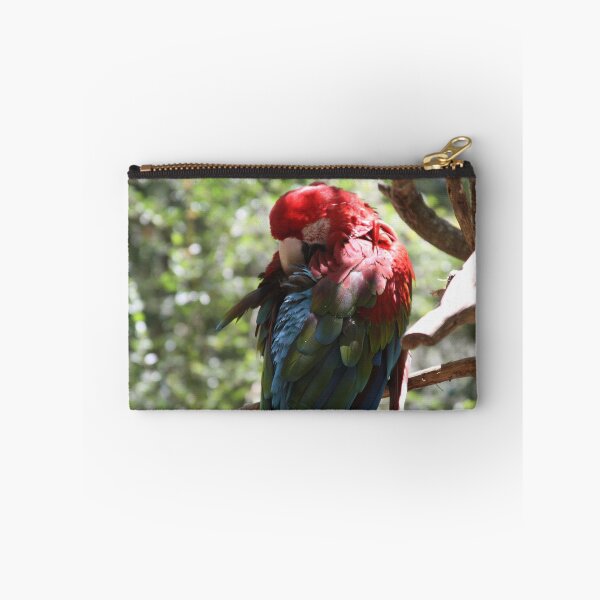Item preview, Feathered Friend designed and sold by Photos67.