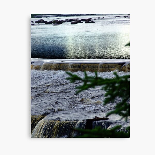 As the Day Sleeps Canvas Print