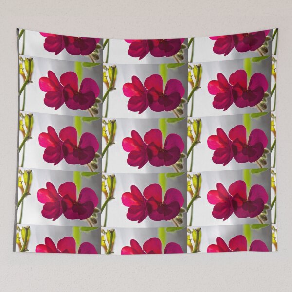 Item preview, Looking into the light designed and sold by Carolyn Clark.