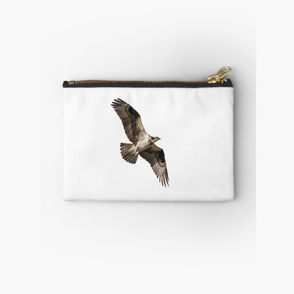 Item preview, Isolated Osprey 2019-2 designed and sold by Thomasyoung.