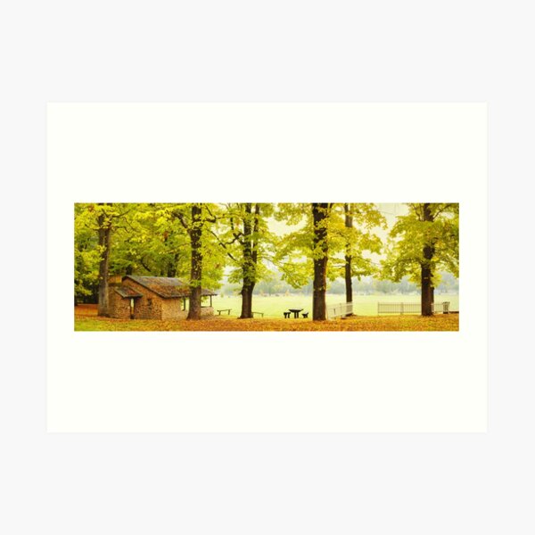 Art Print