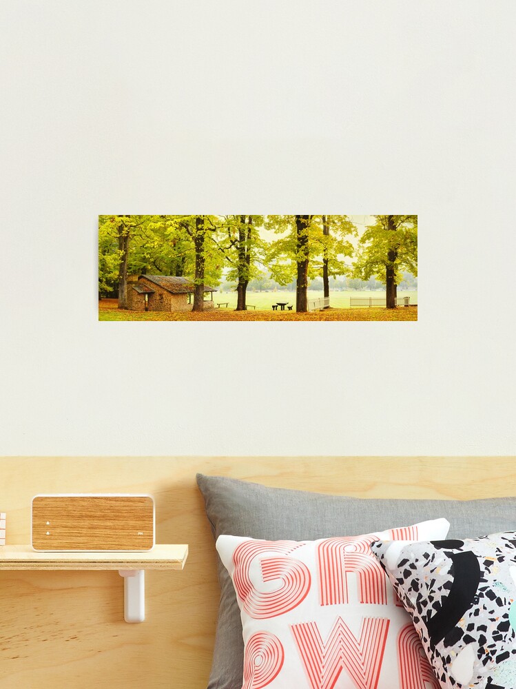 Thumbnail 2 of 3, Photographic Print, Bright Picnic Shelter, Victoria, Australia designed and sold by Chockstone.
