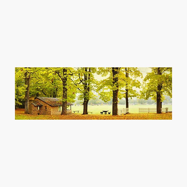 Photographic Print