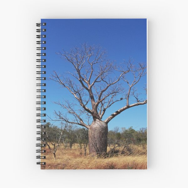 Item preview, The Boab Tree designed and sold by myraj.