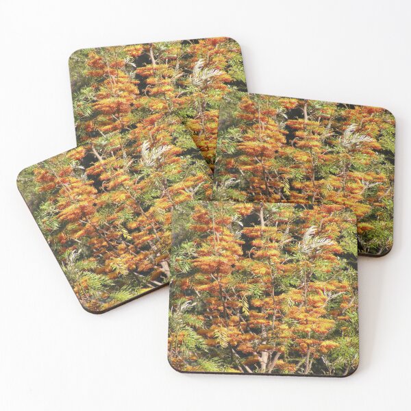 Item preview, In all it's glory ... Grevillea robusta designed and sold by Trish Meyer.