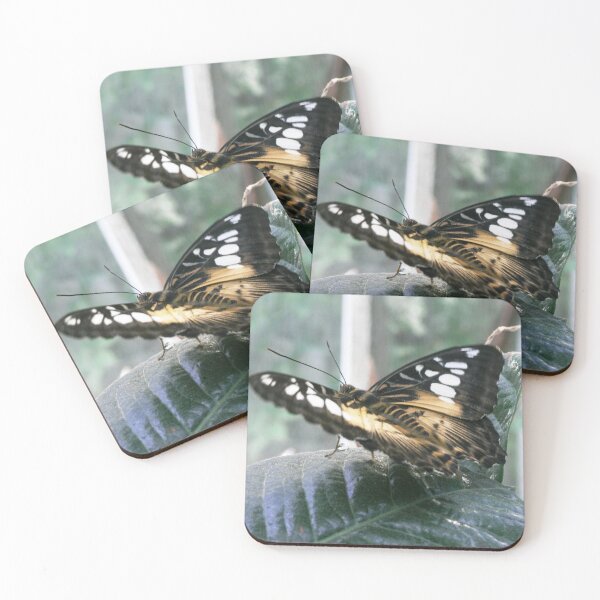 Item preview, Brown Clipper at Bellagio Casino. designed and sold by Trish Meyer.