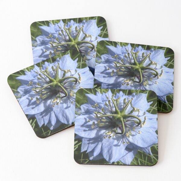 Item preview, Love-in-a-mist designed and sold by Trish Meyer.