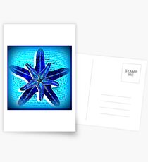 Starfish in blue Postkarten