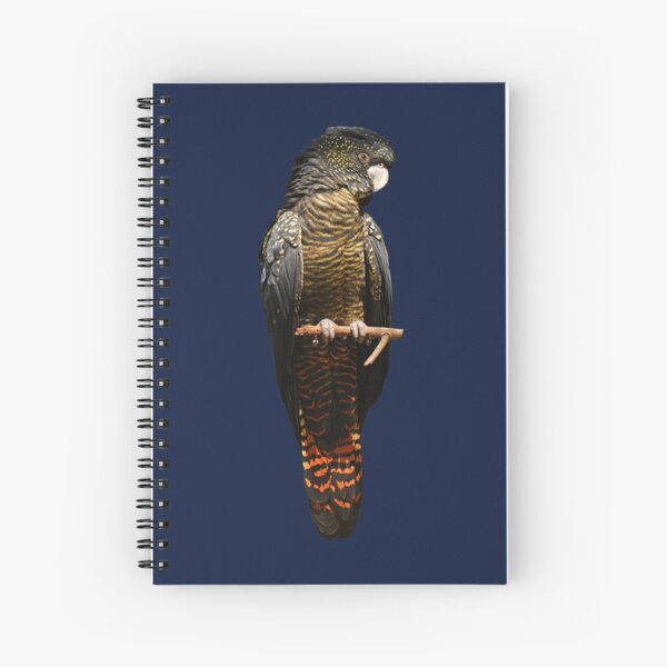 Red-tailed Black Cockatoo 3 Spiral Notebook