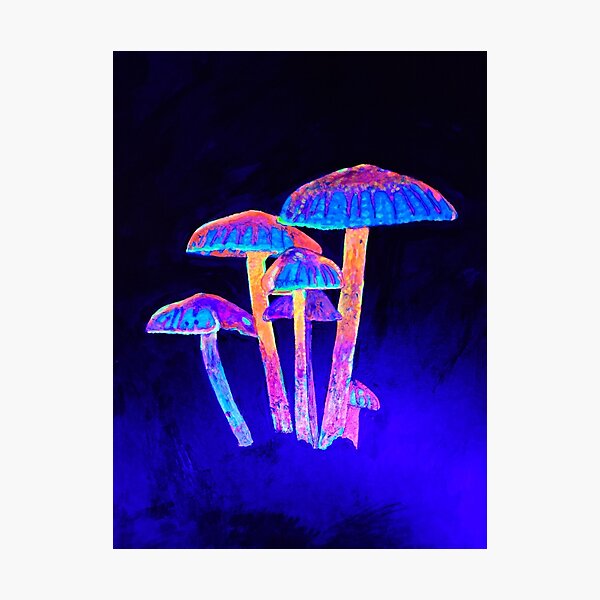 Mushroom Glow Photographic Print