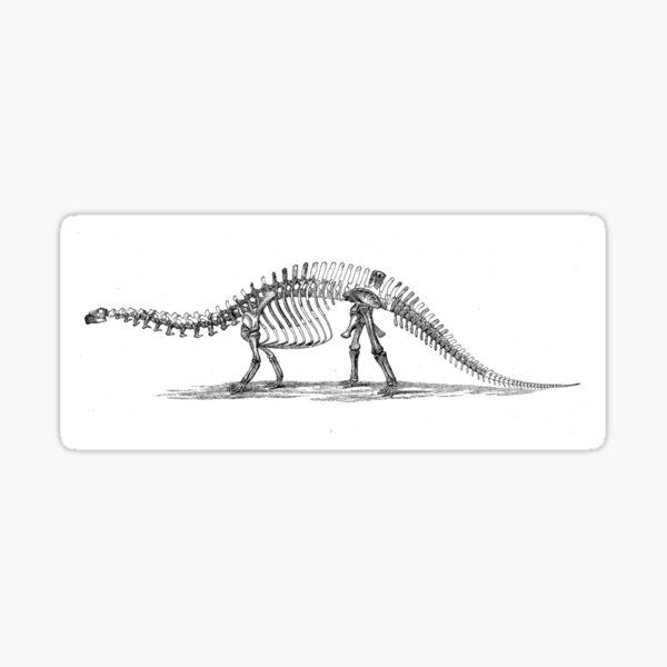 Artikel-Vorschau von Kleiner Apatosaurus, designt und verkauft von skeletonsrus.