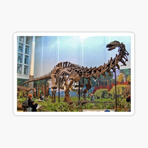 Artikel-Vorschau von Spezieller Apatosaurus, designt und verkauft von skeletonsrus.
