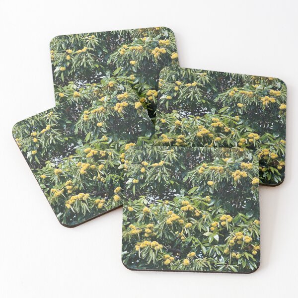 Item preview, Chestnut Tree designed and sold by Joy Watson - Natural Light Photography .