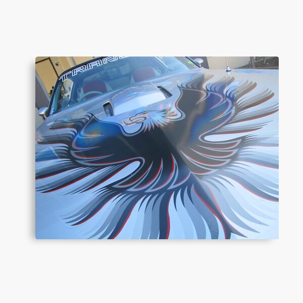 Riviera Visual - FireBird Metal Print