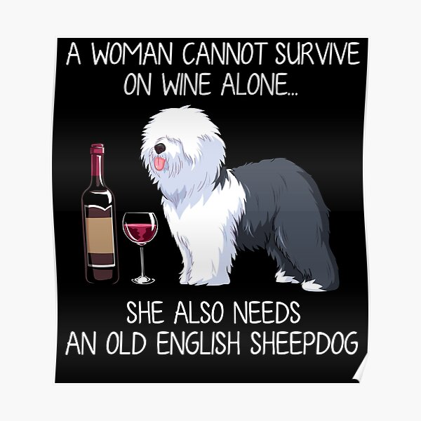 Multicolor 18x18 Old English Sheepdogs Owner Gift Funny Old English Sheepdog Mugshot Guilty Dog Throw Pillow Multicolor 18x18 Old English Sheepdogs Owner Gift Funny Old English Sheepdog Mugshot Guilty Dog Throw Pillow