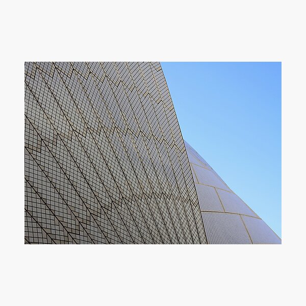 Scales Photographic Print
