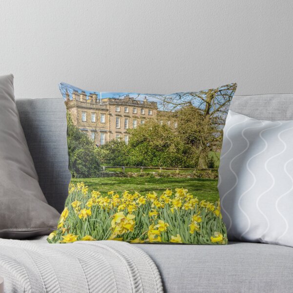 Item preview, Daffodils in full bloom at Cannon Hall, Barnsley, Yorkshire,UK designed and sold by Itsgrimupnorth.