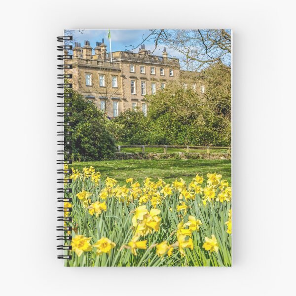 Item preview, Daffodils in full bloom at Cannon Hall, Barnsley, Yorkshire,UK designed and sold by Itsgrimupnorth.