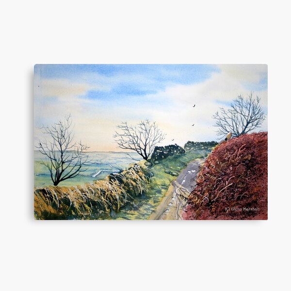 Path toSutton Bank, North Yorkshire Canvas Print