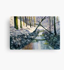 Dane's Dyke after snow Canvas Print