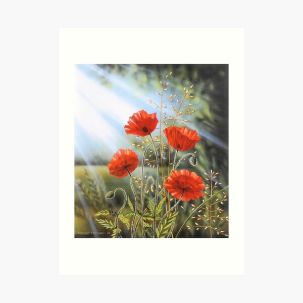 Coquelicots en herbe Impression artistique
