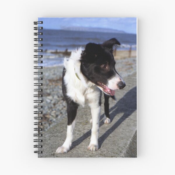 Item preview, Young Indy designed and sold by Michael Haslam.