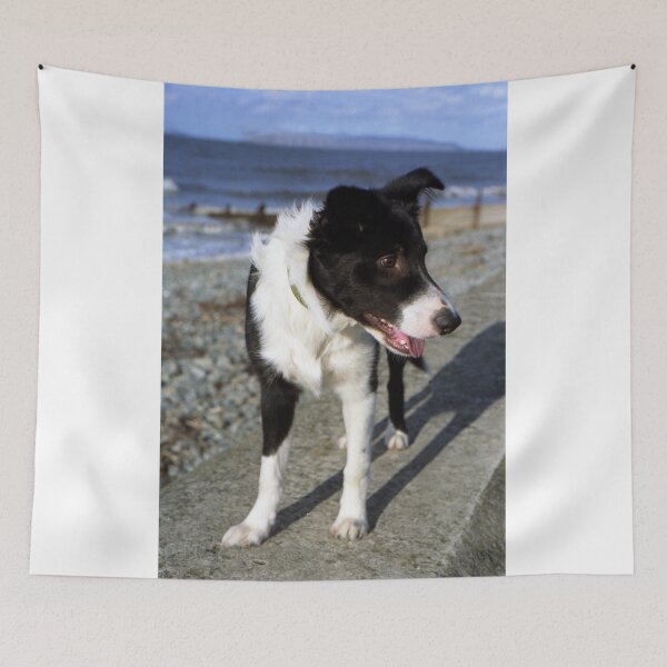 Item preview, Young Indy designed and sold by Michael Haslam.