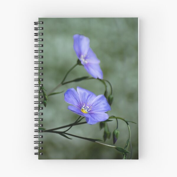 Item preview, Blue Flax II designed and sold by Len Bomba.