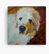 Great Pyrenees Canvas Print
