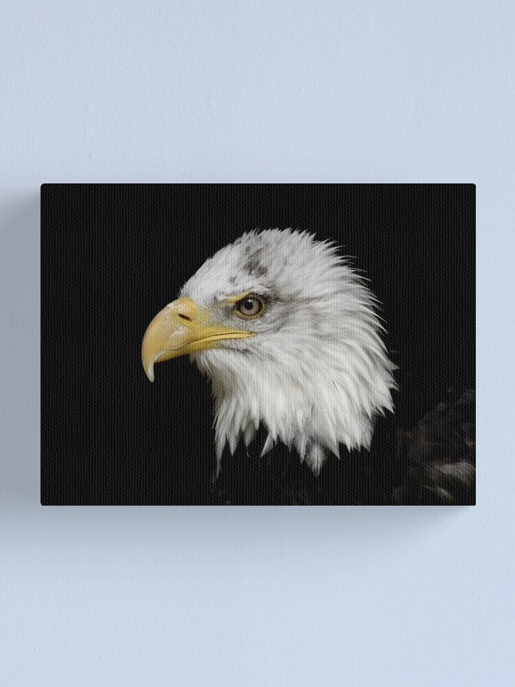Alternate view of Eagle Portrait Canvas Print