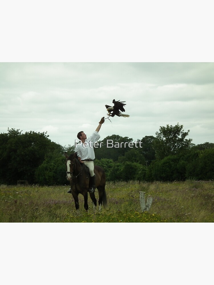 Medieval England - Falconer by hartrockets