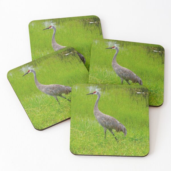 Item preview, Strolling Sandhill Crane designed and sold by CLSArtistries.