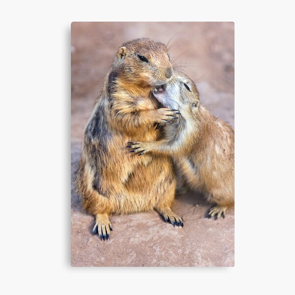 A Love Bite Metal Print