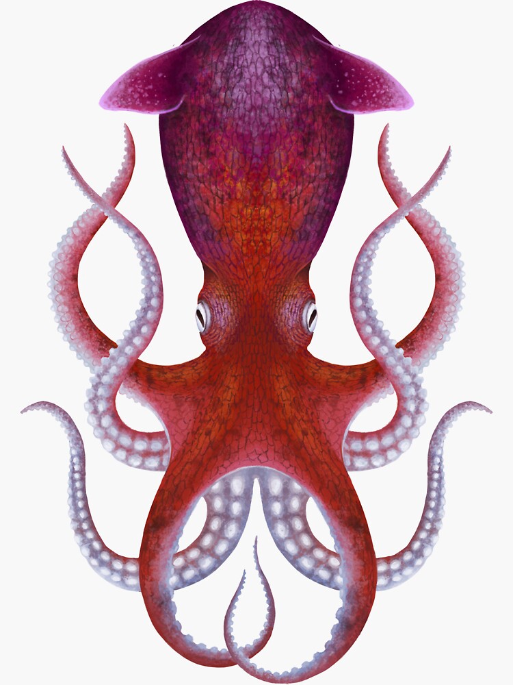 Palaeoctopus by franzanth