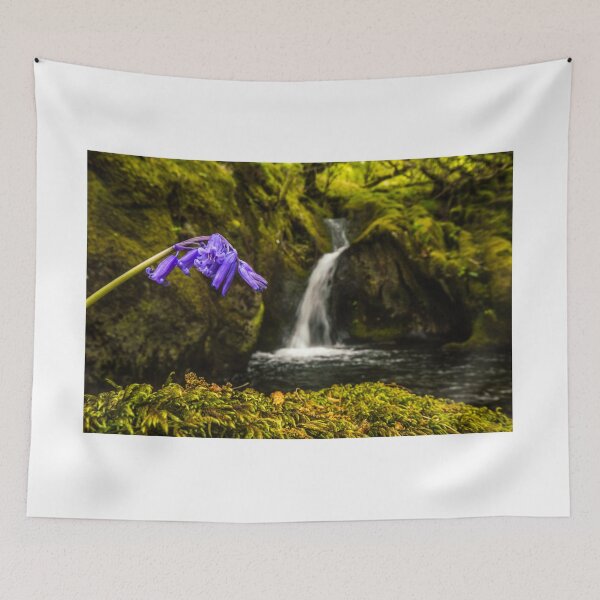 Item preview, Bluebell Stream designed and sold by DafyddEm.