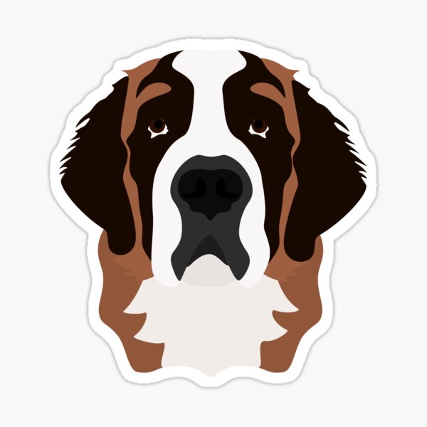 st bernards gift shop