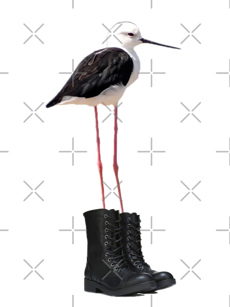 bird boots