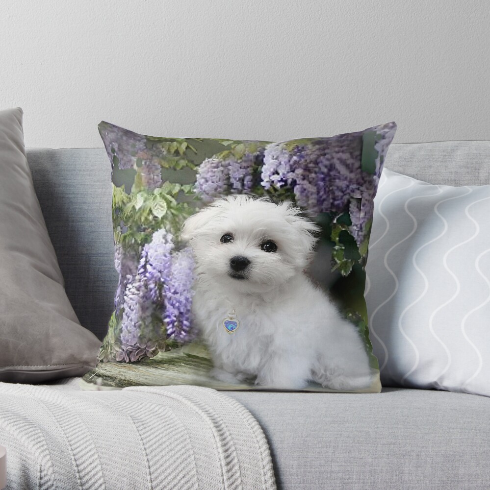 maltese pillow