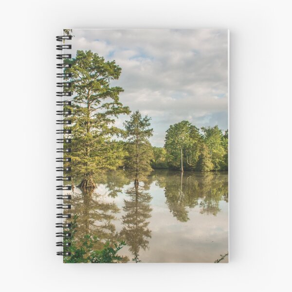 Item preview, Stumpy Lake Morning Light designed and sold by Sherry Smith.