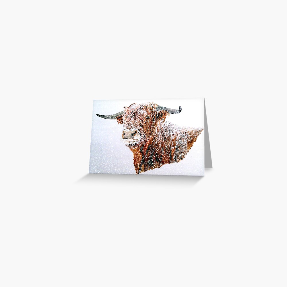 Snowy Highland Cow in Falling Snow Greeting Card (Blank) Greeting Card