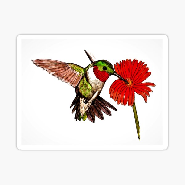 Humming Bird and Flower Greeting Card (Blank) Sticker