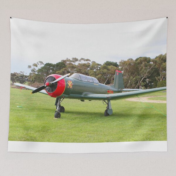 Item preview, Chinese Nanchang Warbird Aircraft designed and sold by FranWest.