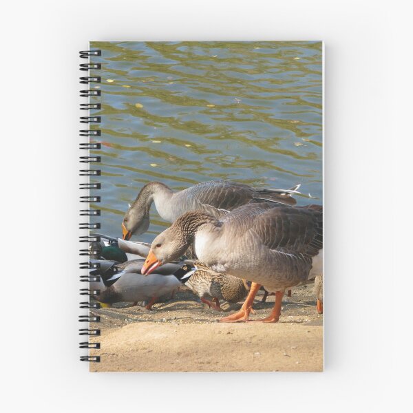 Item preview, Pecking order designed and sold by MChabalaRussell.