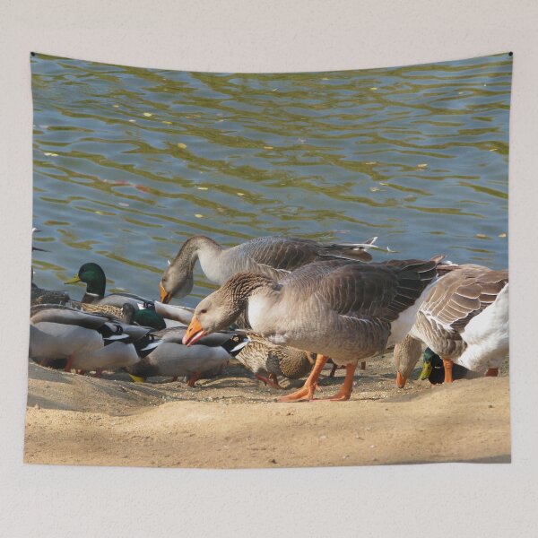 Item preview, Pecking order designed and sold by MChabalaRussell.