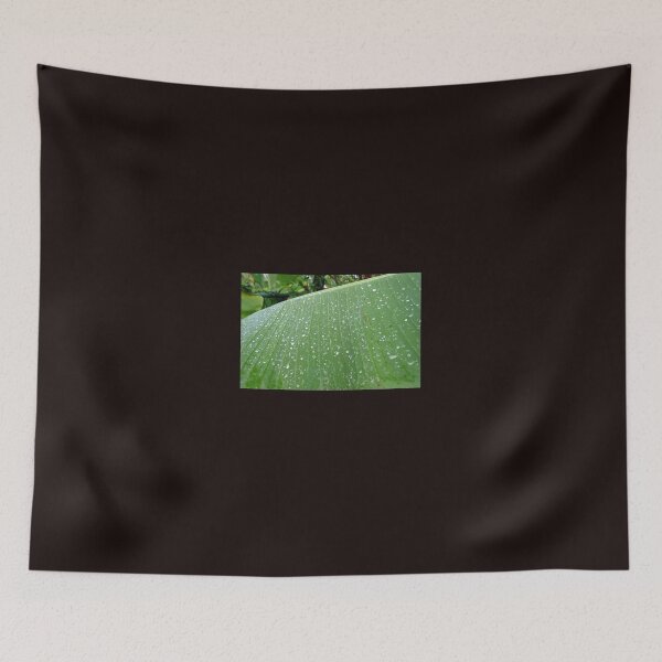 Aperçu de l'œuvre Drops on Leaf créée et vendue par Lesley Ortiz.