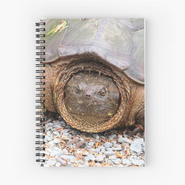 Item preview, CANADA'S LARGEST FRESHWATER TURTLE - SNAPPING designed and sold by Monica-Stroud.