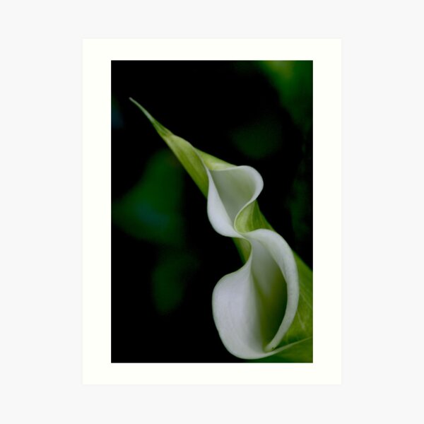 infinite Art Print